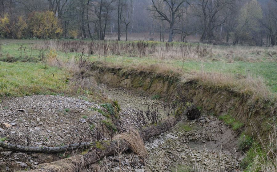 Hochwasserschutz und ökologische Verbesserung: Vorbereitungen zur geplanten Renaturierung der Alme in Brenken haben begonnen